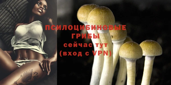 2c-b Лихославль