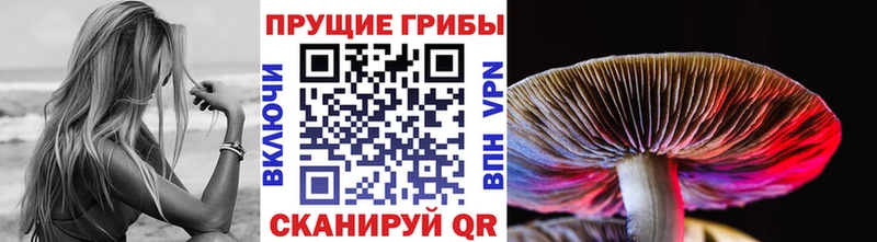 Псилоцибиновые грибы ЛСД  как найти   Минусинск 