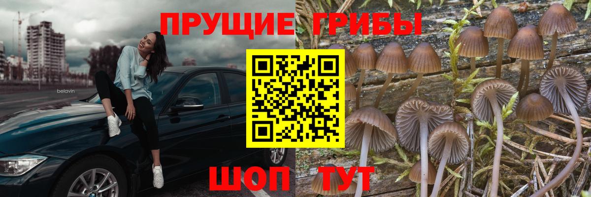 Псилоцибиновые грибы ЛСД  Галлюциногенные грибы мицелий  Минусинск  Вход с VPN 